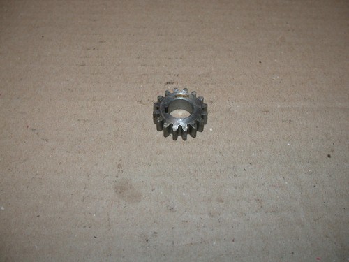 Tooth gear l11 005 - tooth, gear,